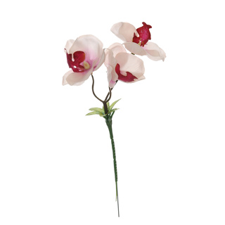 ORCHID PICK X 3 PINK