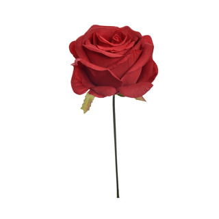 OPEN ROSE PICK RED