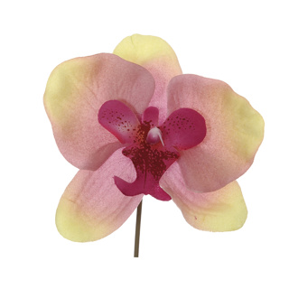 LARGE ORCHID HEAD ON STEM 8 CM GREEN PINK