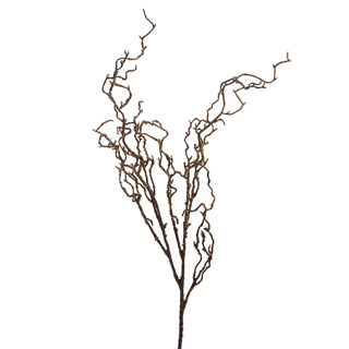 CURLED TWIG BRANCH 105CM BROWN