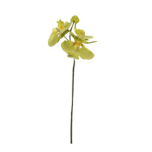 SMALL ORCHID PICK 33CM GREEN