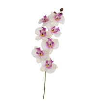 SINGLE ORCHID 62CM PINK