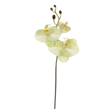 ORCHID W/3 FLOWERS 63CM GREEN