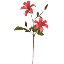 CLEMATIS SPRAY 65CM CORAL