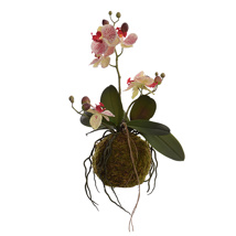 ORCHID ON MOSS BASE H 40CM