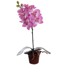 SMALL ORCHID IN POT 32CM LAVENDER