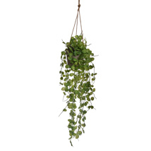 HANGING LEAVES IN POT GREEN