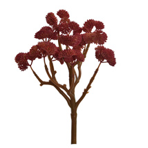 BERRY PLANT 24CM RED