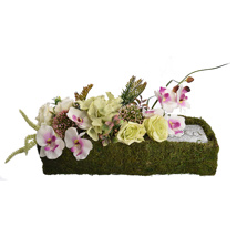 ROSE ORCHID ARR IN MOSS PLANTER 42X20CM PINK GREEN