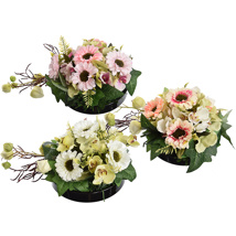 GERBERA/ORCHID ON ROUND PLATE 15CM ASSORTIMENT