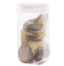 SHELL IN BOX 285 G NATURAL