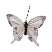 BUTTERFLY 9CM ON CLIP (6 style - price = 1 pc) CREAM