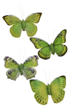BUTTERFLY 9CM ON CLIP (4 style - price = 1 pc) GREEN