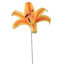 LILY HEAD K.D PACKING 20CM YELLOW