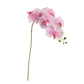 SINGLE ORCHID 107CM PINK