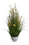 GRASS W/COSMOS IN WHITE POT H 84CM YELLOW