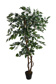 FICUS TREE W/756 LVS H 150CM WHITE GREEN