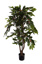 COFFEE TREE W/420 LVS H 120 CM GREEN