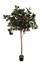 APPLE TREE W/738 LVS 13 FRUITS H 180CM GREEN