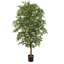 FICUS FOLIA A-TREE W/4992 LVS H 180CM WHITE GREEN