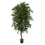 FICUS FOLIA A-TREE W/6400 LVS H 210CM GREEN