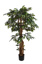 SMILAX TREE W/1152 LVS IN POT H 125CM GREEN