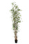 MINI BAMBOO TREE X 10 W/1208 LVS 170CM GREEN