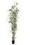 MINI BAMBOO TREE X 12 W/1598 LVS 105CM GREEN