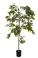FICUS TREE W/429 LVS 120CM IN POT GREEN
