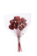 SMALL HEART PICK IN BAG (10 pcs) 16CM RED