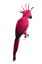 LARGE PARROT PINK