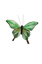 DELUXE BUTTERFLY 12CM W/CLIP GREEN YELLOW