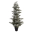 PINE TREE 170CM W/SNOW WHITE