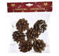 HANGING PINE CONE W/GLITTER X6 IN POLYBAG 6CM GOLD